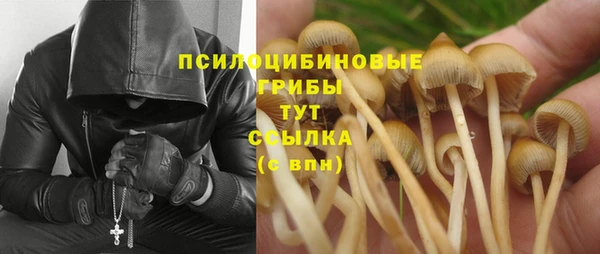 крисы Абинск
