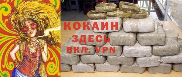винт Няндома