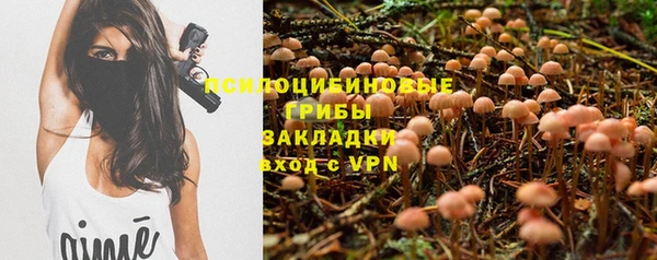 кокс Абдулино