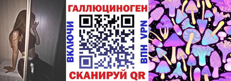 блэк спрут зеркало  Цоци-Юрт  Галлюциногенные грибы GOLDEN TEACHER  маркетплейс официальный сайт  наркотики 